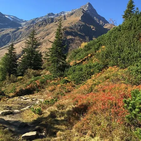 酒店 Nefer, Haus *